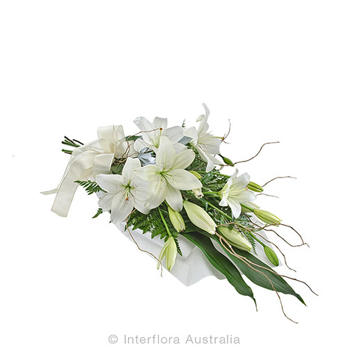 Purity